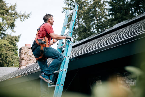 Best Chimney Flashing Repair  in Galena, KS